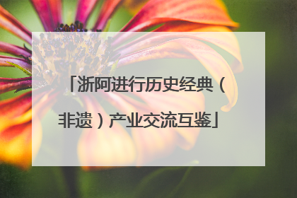 浙阿进行历史经典（非遗）产业交流互鉴