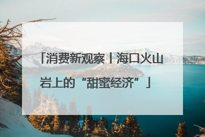 消费新观察丨海口火山岩上的“甜蜜经济”