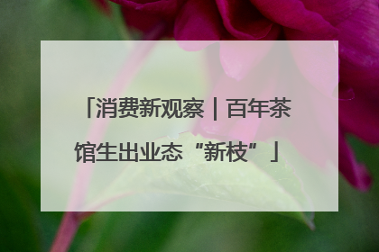 消费新观察｜百年茶馆生出业态“新枝”