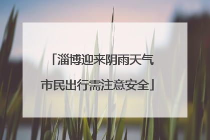 淄博迎来阴雨天气 市民出行需注意安全