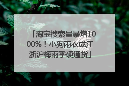 淘宝搜索量暴增1000%！小狗雨衣成江浙沪梅雨季硬通货