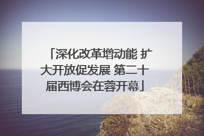 深化改革增动能 扩大开放促发展 第二十届西博会在蓉开幕