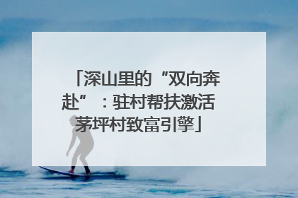 深山里的“双向奔赴”：驻村帮扶激活茅坪村致富引擎