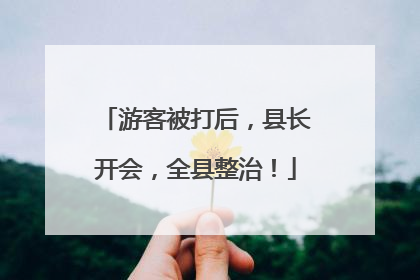 游客被打后，县长开会，全县整治！