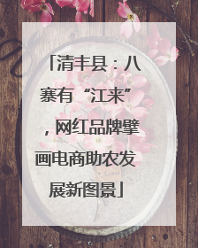 清丰县：八寨有“江来”，网红品牌擘画电商助农发展新图景