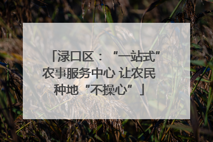 渌口区：“一站式”农事服务中心 让农民种地“不操心”
