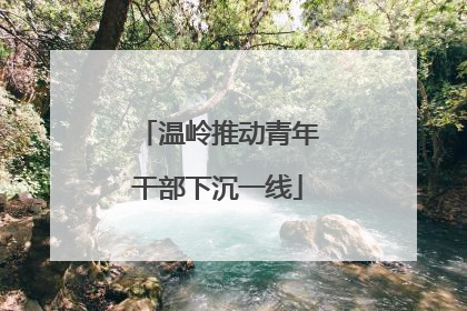 温岭推动青年干部下沉一线