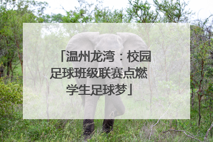 温州龙湾：校园足球班级联赛点燃学生足球梦