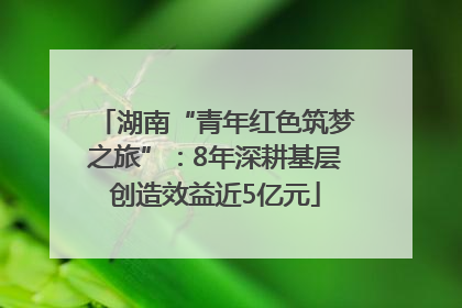 湖南“青年红色筑梦之旅”：8年深耕基层创造效益近5亿元
