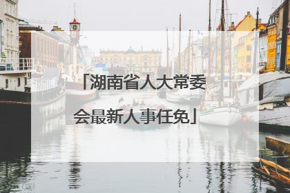 湖南省人大常委会最新人事任免