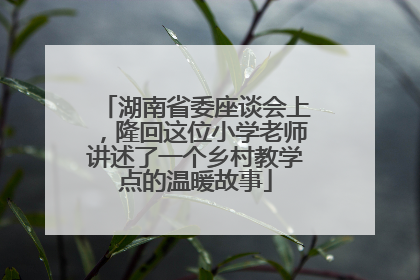 湖南省委座谈会上，隆回这位小学老师讲述了一个乡村教学点的温暖故事