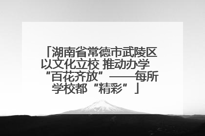 湖南省常德市武陵区以文化立校 推动办学“百花齐放”——每所学校都“精彩”