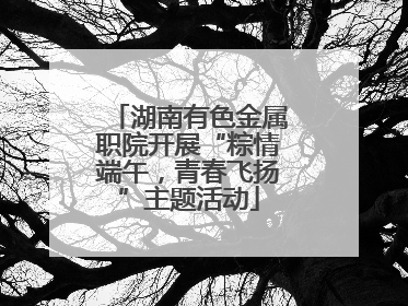 湖南有色金属职院开展“粽情端午，青春飞扬”主题活动