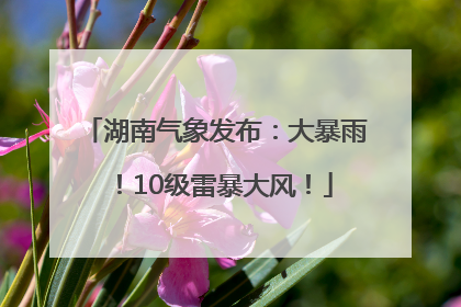 湖南气象发布：大暴雨！10级雷暴大风！