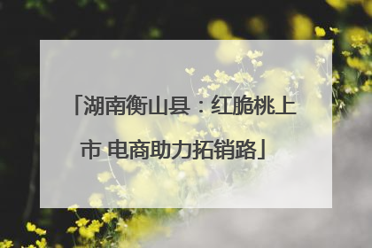 湖南衡山县：红脆桃上市 电商助力拓销路