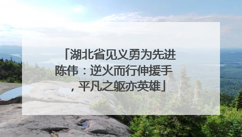 湖北省见义勇为先进陈伟：逆火而行伸援手，平凡之躯亦英雄