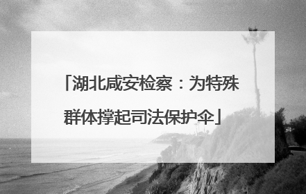 湖北咸安检察：为特殊群体撑起司法保护伞