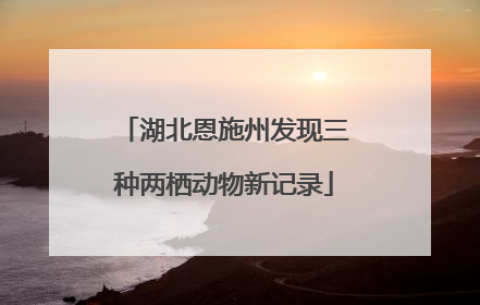 湖北恩施州发现三种两栖动物新记录