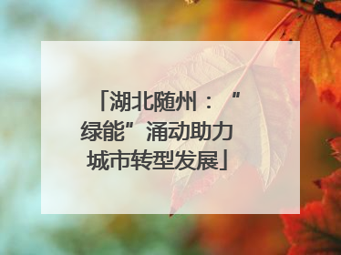 湖北随州：“绿能”涌动助力城市转型发展