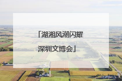 湖湘风潮闪耀深圳文博会