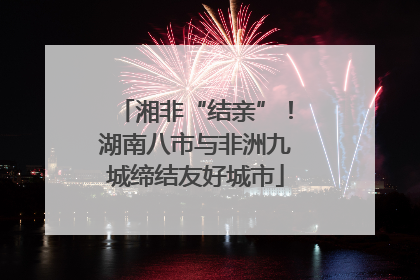湘非“结亲”！湖南八市与非洲九城缔结友好城市