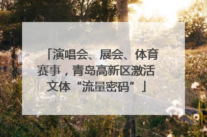 演唱会、展会、体育赛事，青岛高新区激活文体“流量密码”