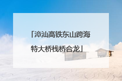 漳汕高铁东山跨海特大桥栈桥合龙