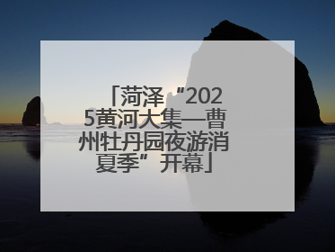 菏泽“2025黄河大集—曹州牡丹园夜游消夏季”开幕