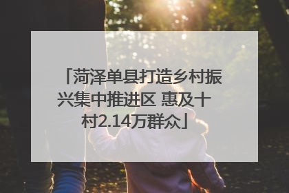 菏泽单县打造乡村振兴集中推进区 惠及十村2.14万群众