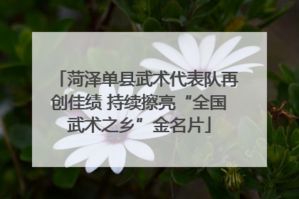 菏泽单县武术代表队再创佳绩 持续擦亮“全国武术之乡”金名片