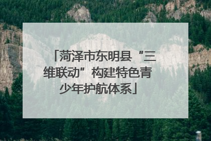 菏泽市东明县“三维联动”构建特色青少年护航体系