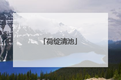 荷绽清池