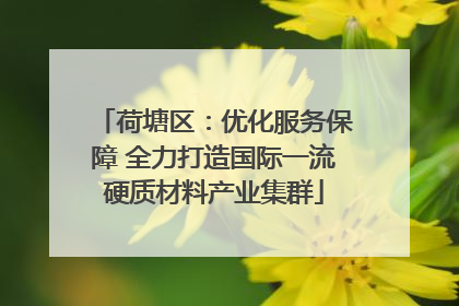 荷塘区：优化服务保障 全力打造国际一流硬质材料产业集群