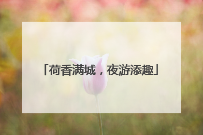 荷香满城，夜游添趣