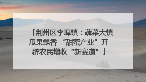 荆州区李埠镇：蔬菜大镇瓜果飘香 “甜蜜产业”开辟农民增收“新赛道”