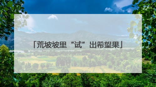 荒坡坡里“试”出希望果