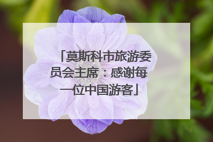 莫斯科市旅游委员会主席：感谢每一位中国游客