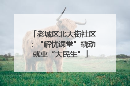 老城区北大街社区：“解忧课堂”撬动就业“大民生”