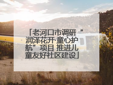 老河口市调研“润泽花开·童心护航”项目 推进儿童友好社区建设