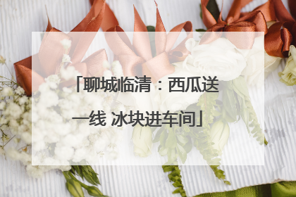 聊城临清：西瓜送一线 冰块进车间