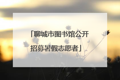 聊城市图书馆公开招募暑假志愿者
