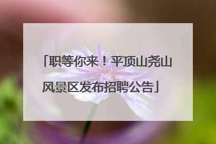 职等你来！平顶山尧山风景区发布招聘公告