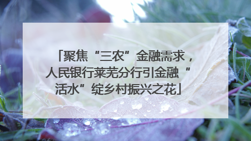 聚焦“三农”金融需求，人民银行莱芜分行引金融“活水”绽乡村振兴之花