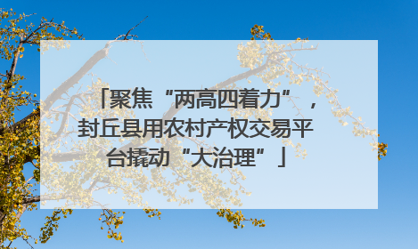 聚焦“两高四着力”，封丘县用农村产权交易平台撬动“大治理”