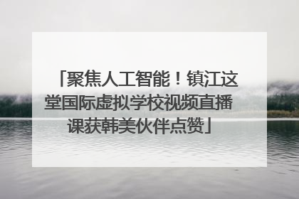 聚焦人工智能！镇江这堂国际虚拟学校视频直播课获韩美伙伴点赞