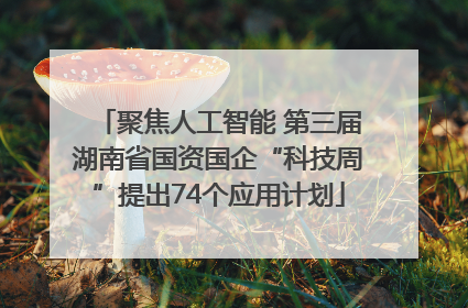 聚焦人工智能 第三届湖南省国资国企“科技周”提出74个应用计划