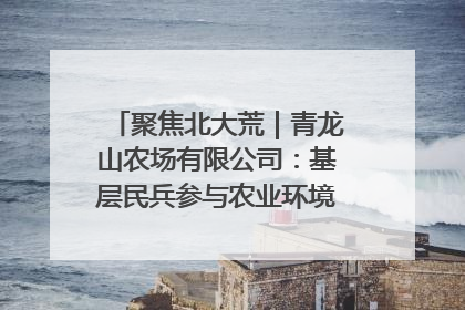 聚焦北大荒｜青龙山农场有限公司：基层民兵参与农业环境综合治理显效