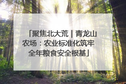 聚焦北大荒｜青龙山农场：农业标准化筑牢全年粮食安全根基