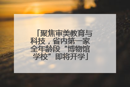 聚焦审美教育与科技，省内第一家全年龄段“博物馆学校”即将开学