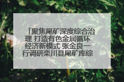 聚焦尾矿深度综合治理 打造有色金属循环经济新模式 张金良一行调研栾川县尾矿库综合治理工作